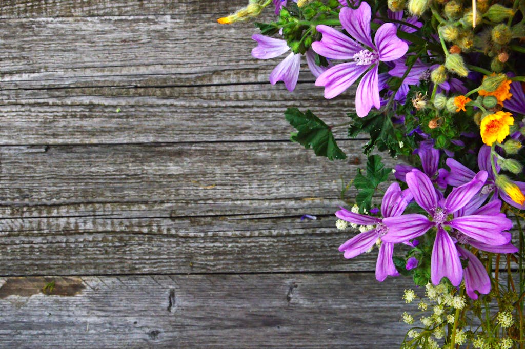 Vibrant purple wildflowers arranged on a rustic wooden surface providing natural beauty and texture.